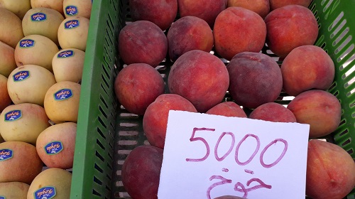 بالصور.. اسعار الخضر والغلال في طبربة بالصور.. اسعار الخضر والغلال في طبربة