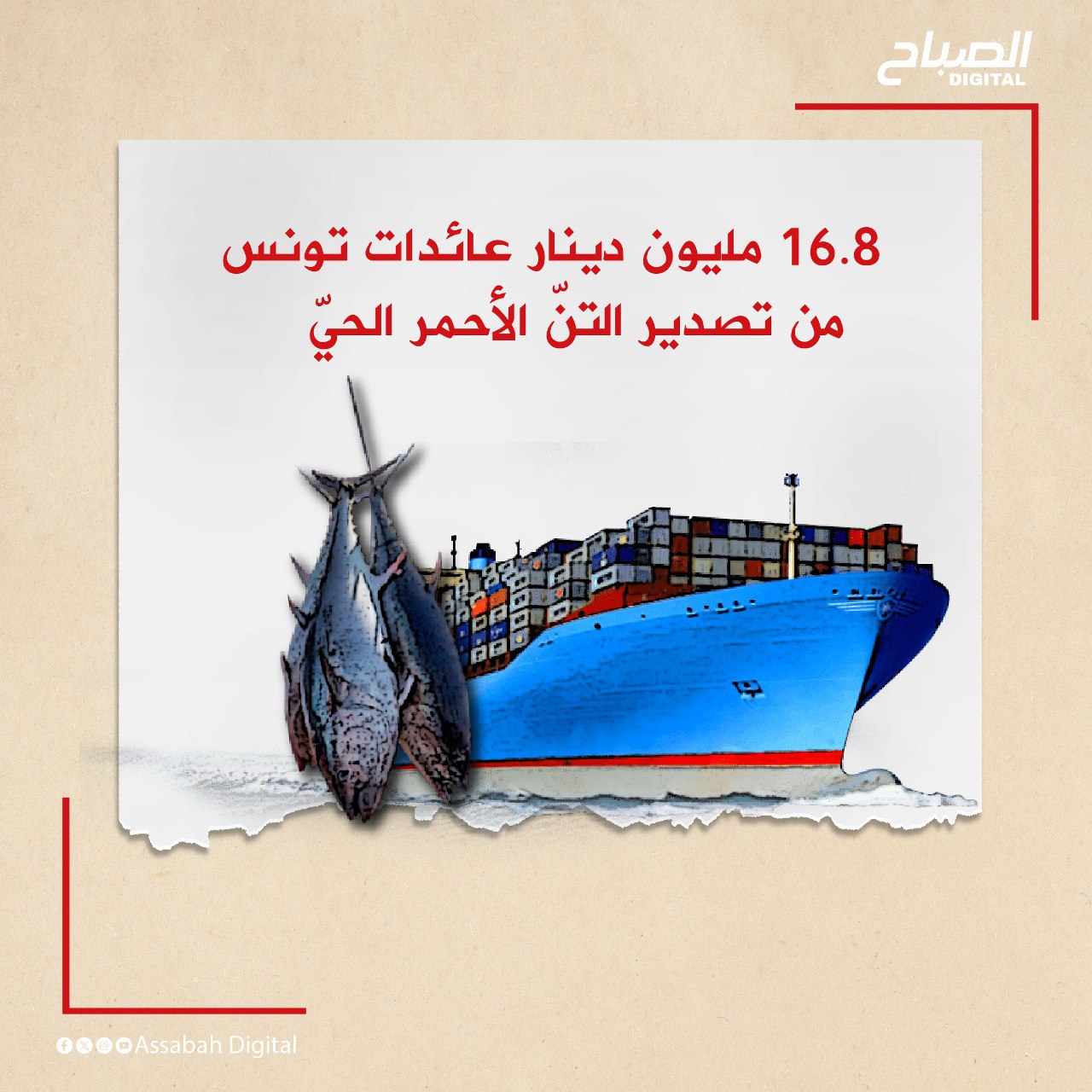 🔴 أنفوغراف|| 16.8 مليون دينار عائدات تونس من تصدير التنّ الأحمر الحيّ