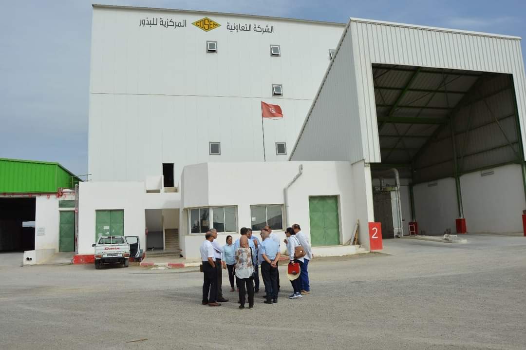 وزير الفلاحة: يجب توزيع البذور الممتازة للحبوب في الآجال مع الأخذ بعين الاعتبار للخصائص المناخيّة