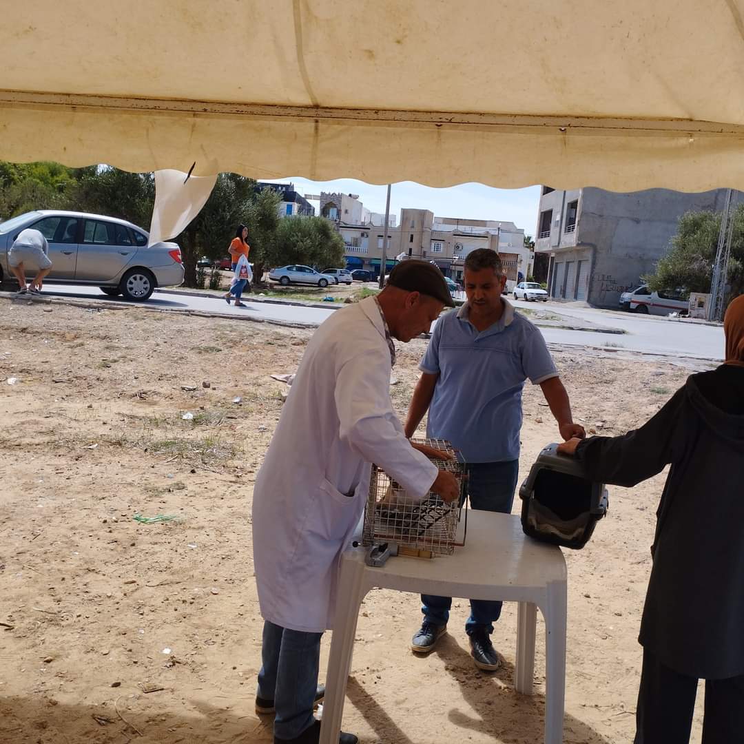 نابل.. تسجيل 46 اصابة حيوانية بداء الكلب ومؤشر ايجابي حول تقلص عدد الحالات نابل.. تسجيل 46 اصابة حيوانية بداء الكلب ومؤشر ايجابي حول تقلص عدد الحالات