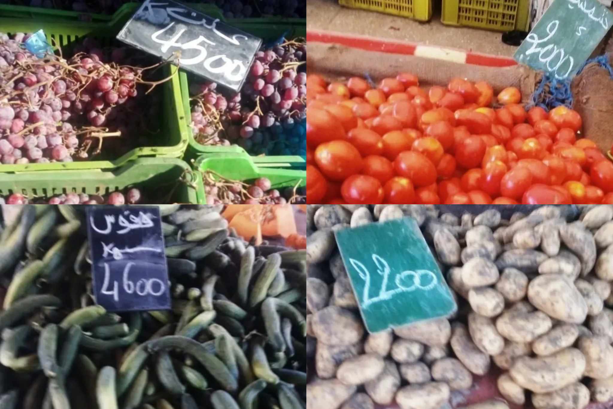 سوق وادي الليل.. تواصل ارتفاع اسعار البطاطا وقفزة في سعر الطماطم! سوق وادي الليل.. تواصل ارتفاع اسعار البطاطا وقفزة في سعر الطماطم!