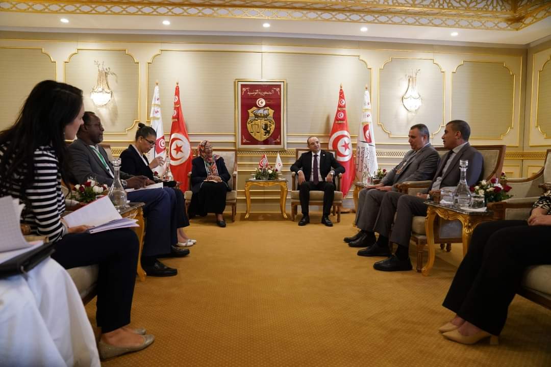 بمناسبة الانتخابات الرئاسية.. وفد عن الهيئة المركزية للانتخابات بروسيا في تونس
