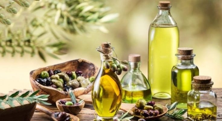 حديث "الصباح"..   مافيا دولية تستهدف ذهبنا الأخضر