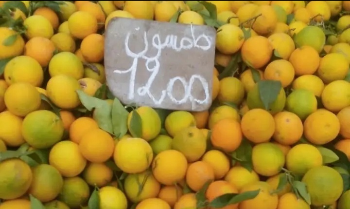 بالصور / أسعار بعض الخضر و الغلال بسوق شباو بوادي الليل بالصور / أسعار بعض الخضر و الغلال بسوق شباو بوادي الليل