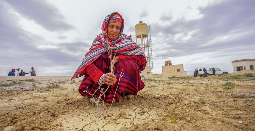 فلاّحات يتذمرن من تأثيرات التغيرات المناخية..   الشح المائي يهدد مواردنا.. ونحتاج إلى الدعم