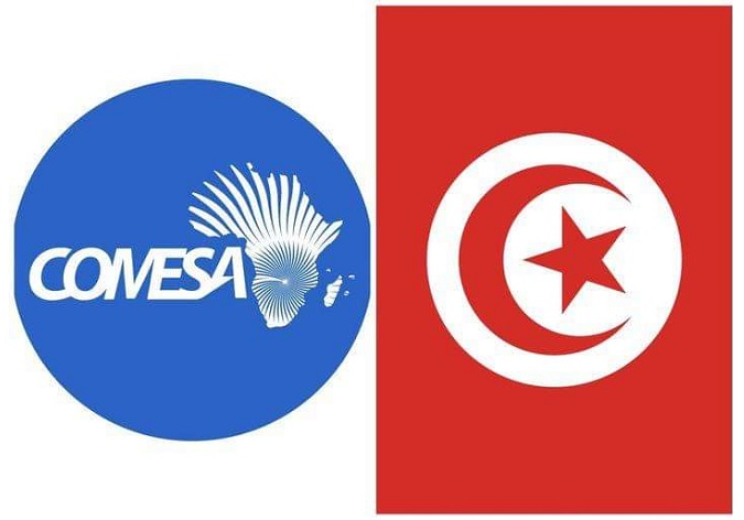 ورقة اقتصادية..   "الكوميسا" فرصة لتعزيز تواجدنا الاقتصادي في إفريقيا