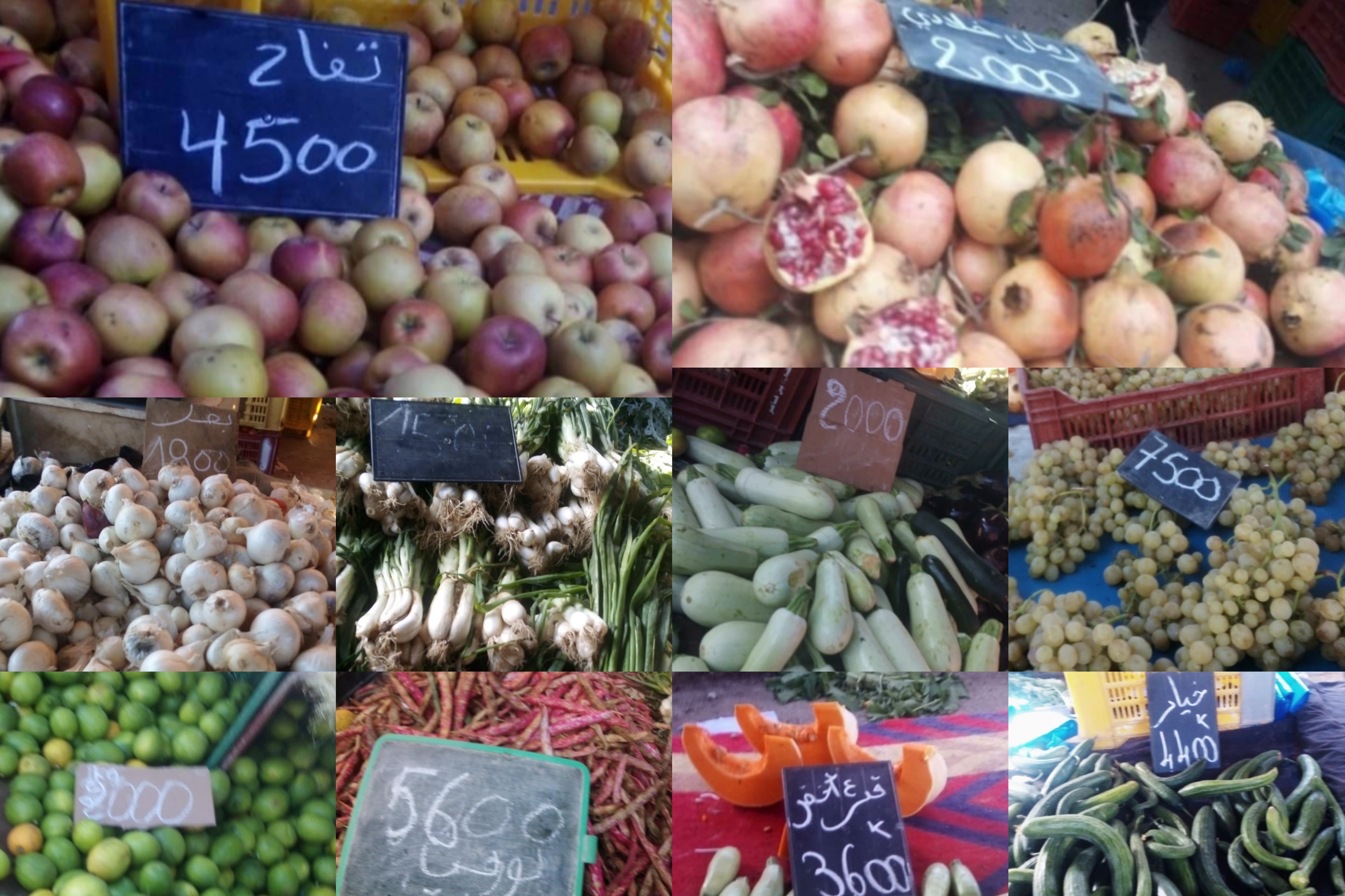 وسط تواصل ارتفاع سعر البطاطا.. هذه أسعار الخضر والغلال بسوق شباو بوادي الليل (صور) وسط تواصل ارتفاع سعر البطاطا.. هذه أسعار الخضر والغلال بسوق شباو بوادي الليل (صور)