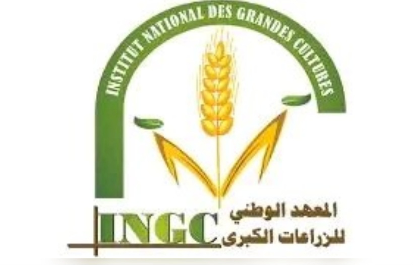 بوسالم.. يوم اعلامي حول الزراعات الكبرى بوسالم.. يوم اعلامي حول الزراعات الكبرى