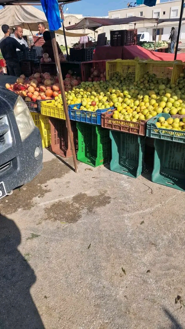 بوعرقوب.. نقص في عرض بعض أصناف الخضر بالسوق الأسبوعية بوعرقوب.. نقص في عرض بعض أصناف الخضر بالسوق الأسبوعية