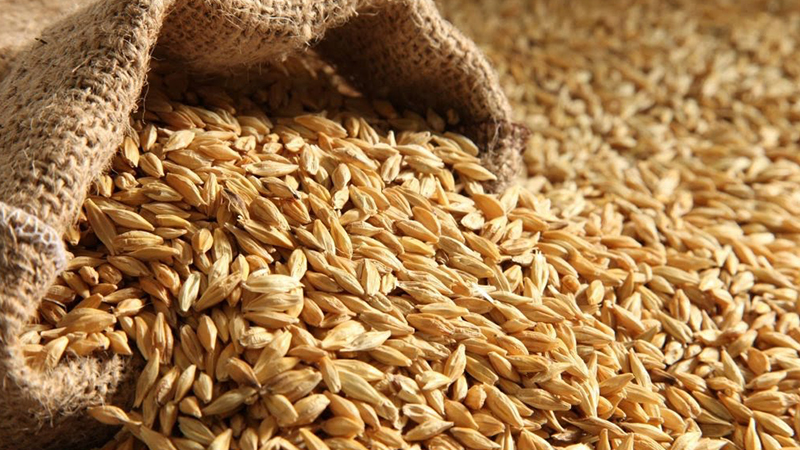 منزل بورقيبة.. حجز 1.7 طن من القمح منزل بورقيبة.. حجز 1.7 طن من القمح