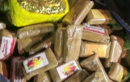 خلال 11 شهرا..    30 كلغ "كوكايين"..200 كلغ "زطلة".. في قبضة الديوانة