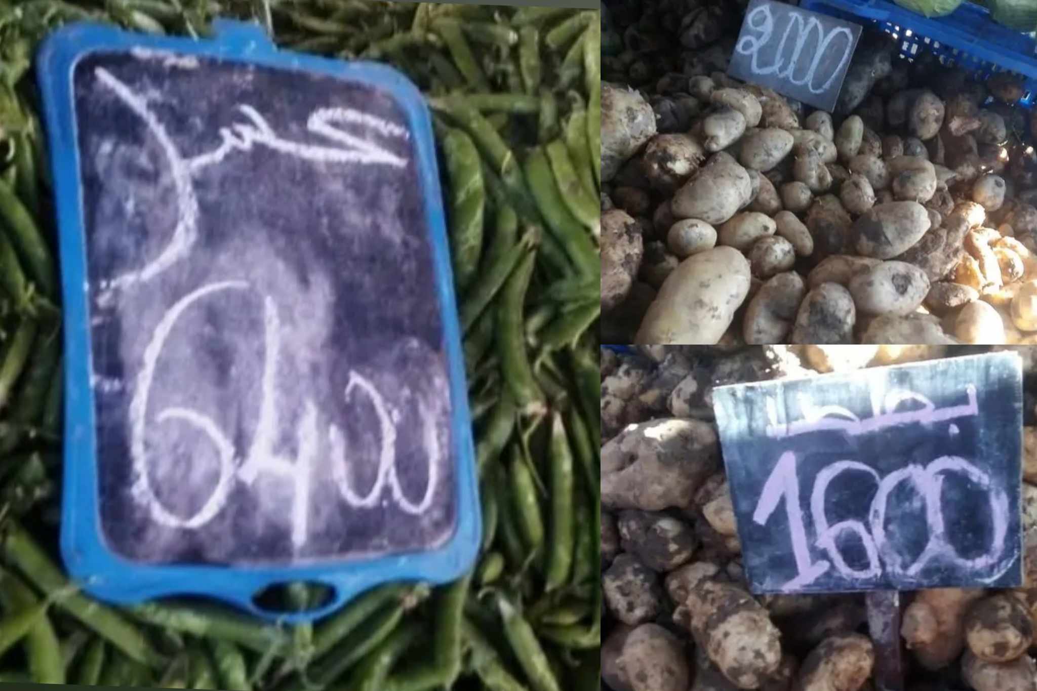 سوق شباو بوادي الليل.. “انفراج ملحوظ” في أسعار الخضر سوق شباو بوادي الليل.. “انفراج ملحوظ” في أسعار الخضر