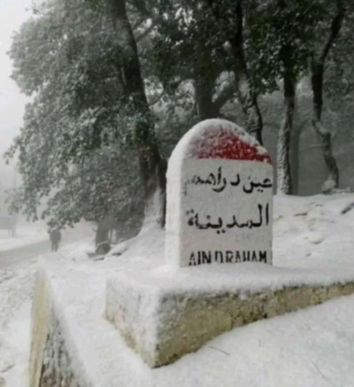 بعد غلقها بسبب الثلوج.. فتح عدد من الطرقات والمسالك الفلاحية بجندوبة بعد غلقها بسبب الثلوج.. فتح عدد من الطرقات والمسالك الفلاحية بجندوبة