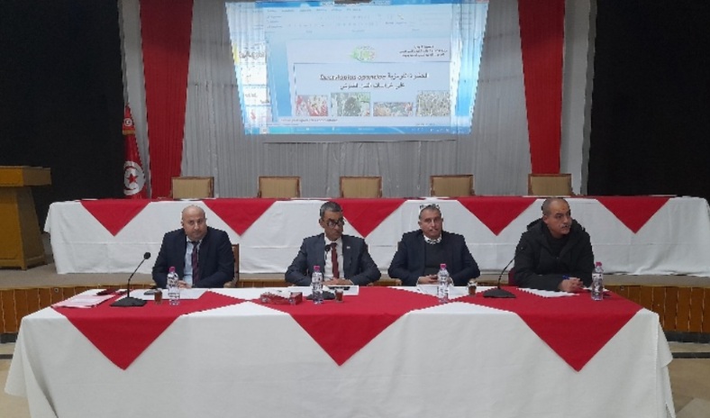 سوسة..مكافحة الآفات الحشرية محور اجتماع اللجنة الجهوية لتفادي الكوارث سوسة..مكافحة الآفات الحشرية محور اجتماع اللجنة الجهوية لتفادي الكوارث