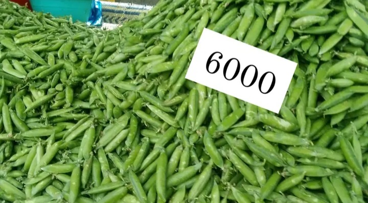 بالصور / أسعار بعض الخضر و الغلال بسوق شباو بوادي الليل 4 20241027_112534.jpg