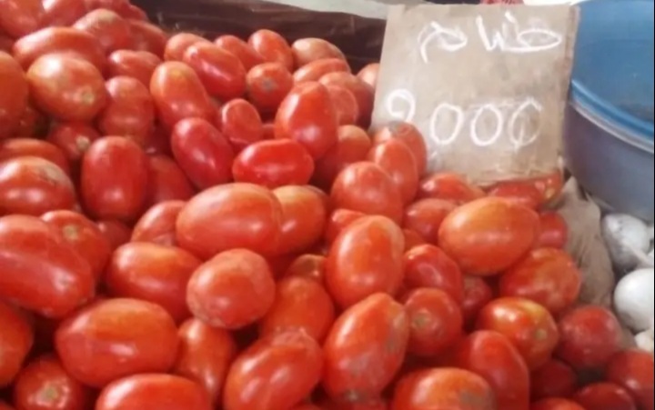 بالصور / أسعار بعض الخضر و الغلال بسوق شباو بوادي الليل 1 20241027_112714.jpg
