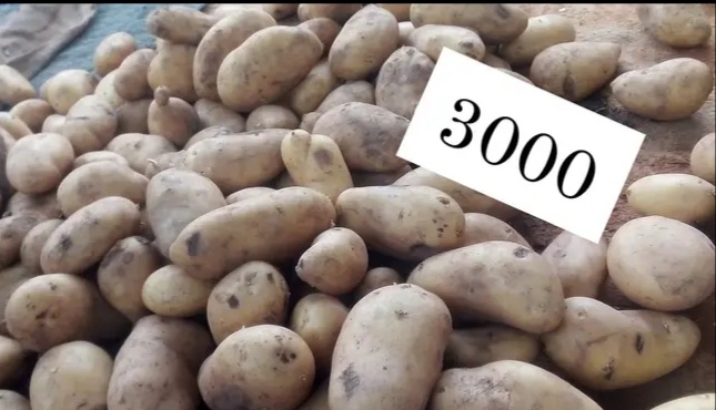 بالصور / أسعار بعض الخضر و الغلال بسوق شباو بوادي الليل 7 20241027_112727.jpg