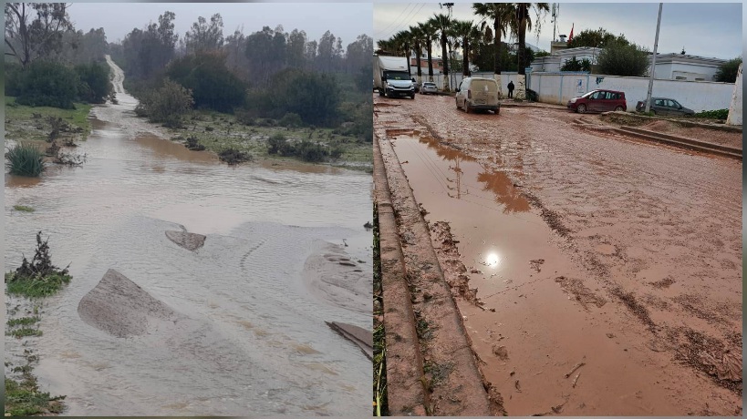الأمطار تعم ولاية بنزرت.. الفلاحون يستبشرون.. وتسجيل اضرار