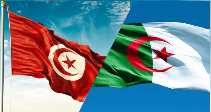 بعد اعلان تركيا استعدادها قبول عدد منهم.. هل ستستقبل تونس والجزائر فلسطينيين مبعدين؟