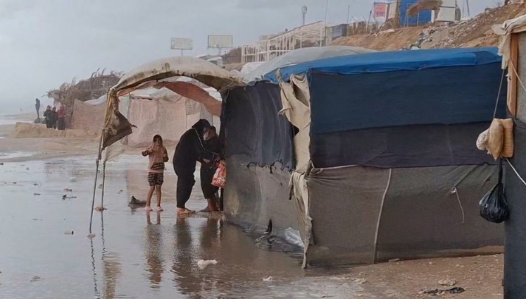  البرد القارس يزيد معاناة سكان قطاع غز.ة