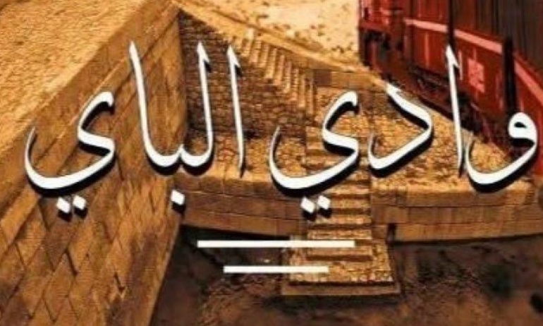 برمجة النصف الثاني من شهر رمضان..   4 أعمال جديدة للوطنية أغلبها كوميدية.. و«دكتور لوف» على نسمة
