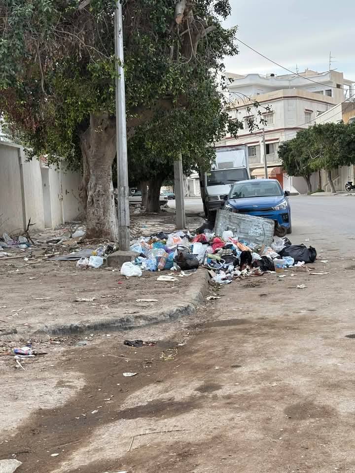القيروان.. ظاهرة قلب الحاويات ورمي الفضلات على الطرقات القيروان.. ظاهرة قلب الحاويات ورمي الفضلات على الطرقات