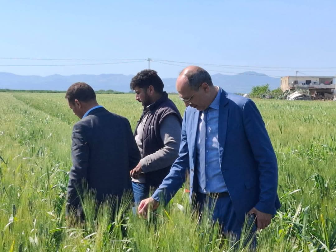 بنزرت.. رئيس ديوان وزير الفلاحة يتابع تقدم استعدادات موسم تجميع الحبوب 