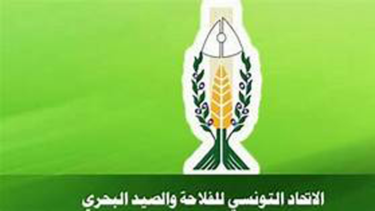 إتحاد الفلاحة يدعو لصرف مستحقات الفلاحين من التعويضات عن الإجاحة بعنوان موسم 2024