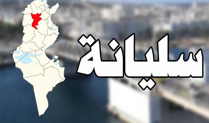 سليانة.. تضرّر مساحات من المحاصيل الزراعية وعدد من الأشجار المثمرة جراء تساقط حجر البرَدْ 
