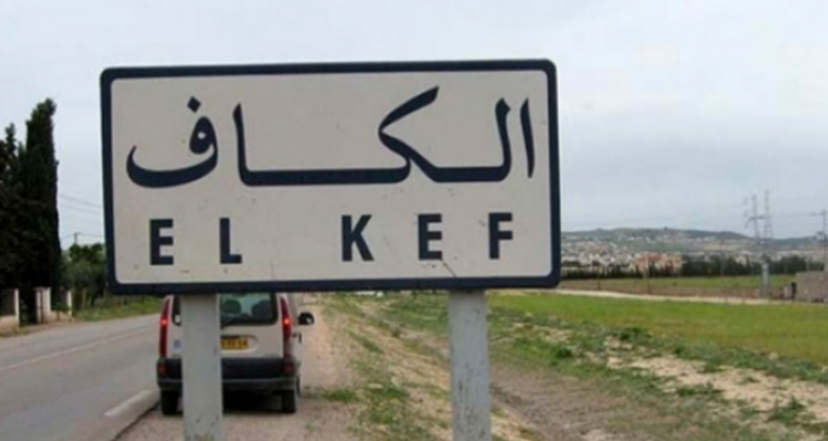 الكاف..تضرر 10 آلاف هك من مزارع الحبوب بسبب تساقط البَردْ