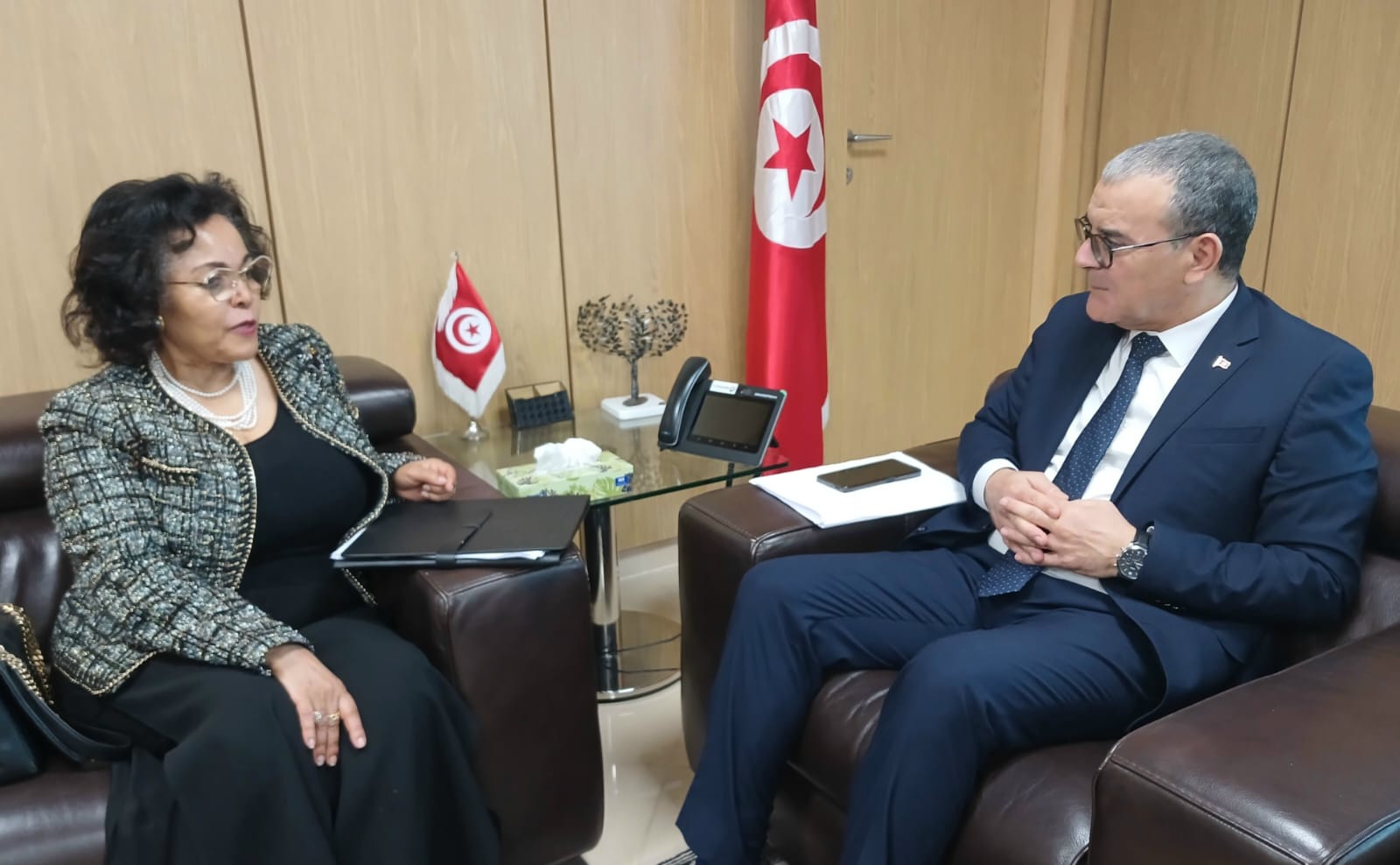 وزير الإقتصاد يجتمع بالمديرة التنفيذية لوكالة الإتحاد الأفريقي للتنمية