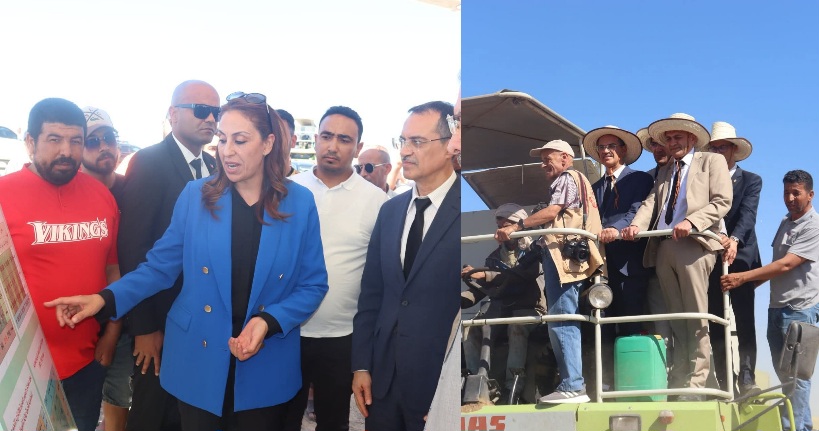  القيروان.. وزير الفلاحة يشرف على انطلاق موسم الحصاد والتجميع