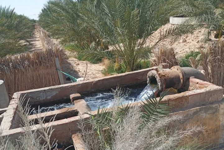 توزر.. مجموعة من فلاحي حزوة يطالبون بإنجاز بئر للري