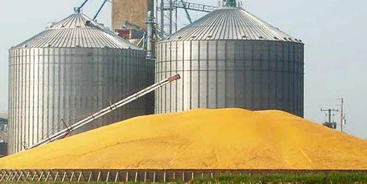  القيروان..تقدم بنسبة 30% في موسم الحصاد