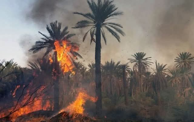  توزر .. حريق بالواحة