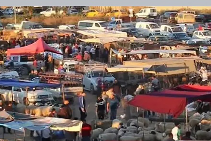 وادي الليل.. تذمر من ارتفاع أسعار الأضاحي 