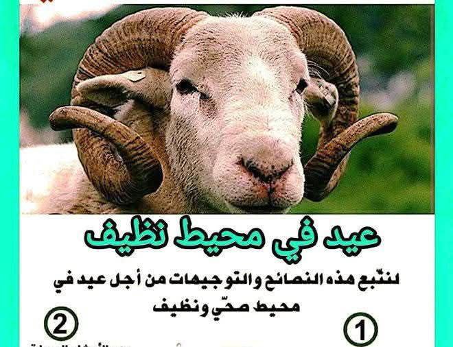  نابل.. بلدية المعمورة تستعد لعيد الأضحى