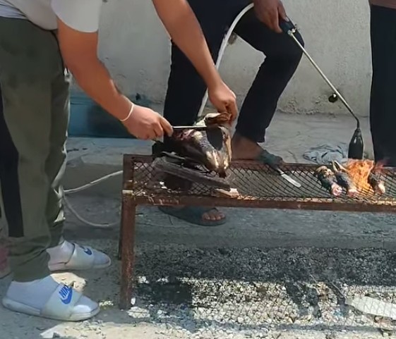 "تشوشيط رأس الخروف".. مهنة موسمية شبابية تفرض حضورها يوم العيد