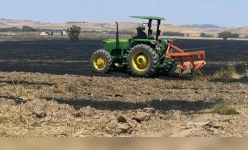 باجة.. حريق يأتي على مساحات هامة من الحبوب