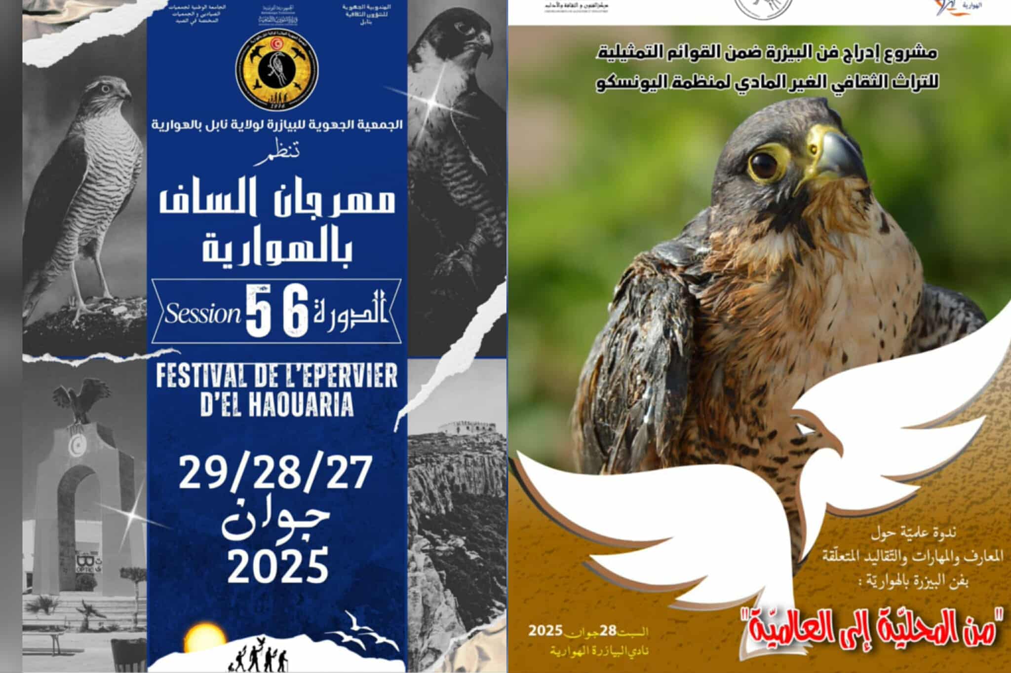 من 27 إلى 29جوان.. برنامج مهرجان الساف بالهوارية في دورته الـ 56 