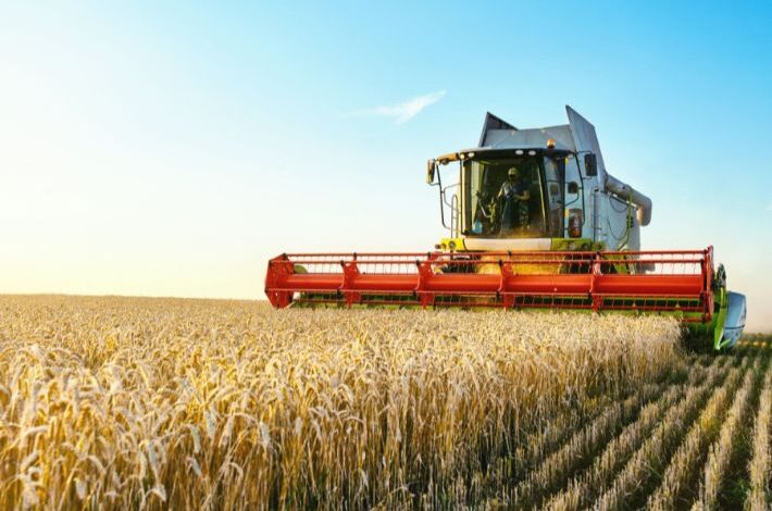 بنزرت.. تقدم موسم الحصاد بنسبة 50.4 % 