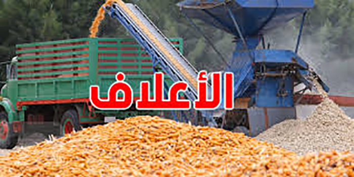 ديوان الأعلاف يشتري 50 ألف طن من الذرة العلفية الموردة.. وهذا موعد توزيعها 