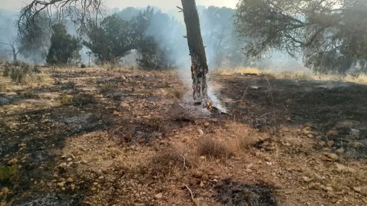  القصرين.. السيطرة على 5 حرائق