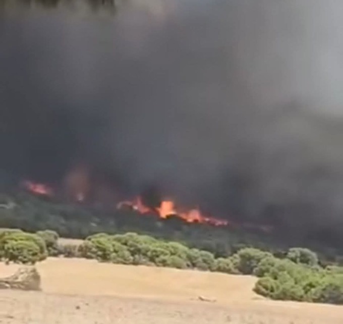سليانة.. السيطرة على حريق جبل دحر من برقو والممتد إلى معتمديات بوعرادة 
