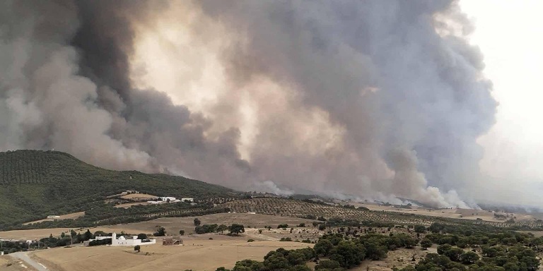 زغوان: نشوب حريق بالمنطقة الغابية تليل الصالحي والدبيديبة بالفحص 