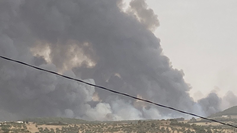 سليانة.. إشتعال بعض الجيوب النّارية بجبل بلوطة وتوسع رقعة الحريق
