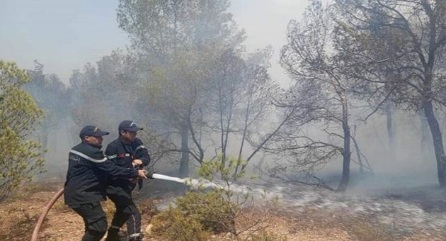 بنزرت.. السيطرة على حريق جبل سيدي عيسى غزالة 
