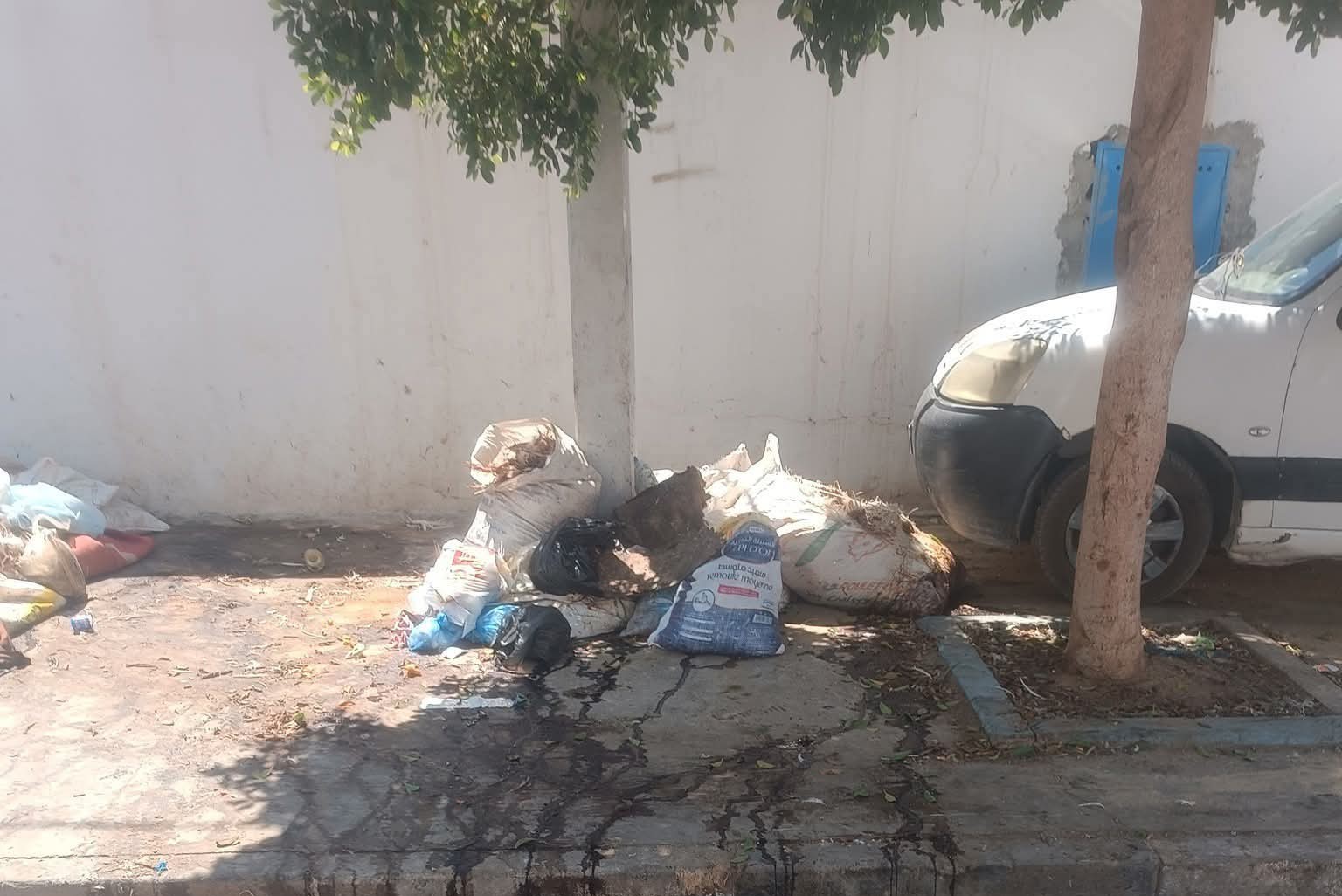 القيروان.. فضلات دجاج ملقاة أمام السوق البلدي "النحايسية" تفضح ضمير بعض التجار