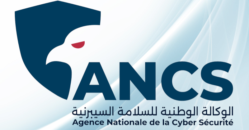 وكالة السلامة السيبرنية تدعو الى الانتباه عند استعمال محركات البحث التي تعتمد على الذكاء الاصطناعي 