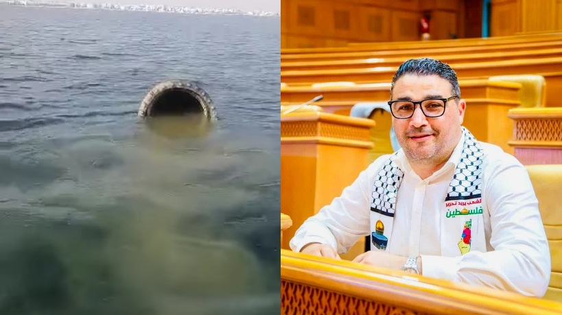  سوسة.. نائب بالمجلس الوطني للجهات والأقاليم يتحدث عن كارثة بيئية بالقنطاوي ويدعو إلى تحقيق فوري (فيديو)
